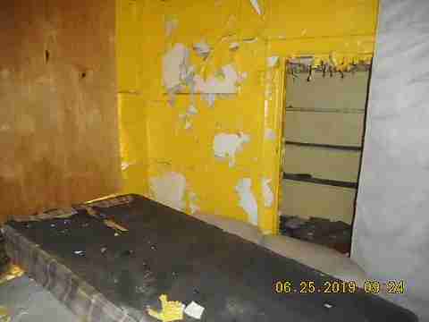 8732 Dexter (17)_m.jpg